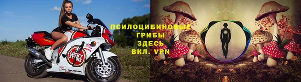 трава Алексин