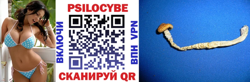 Галлюциногенные грибы GOLDEN TEACHER наркотики Троицк
